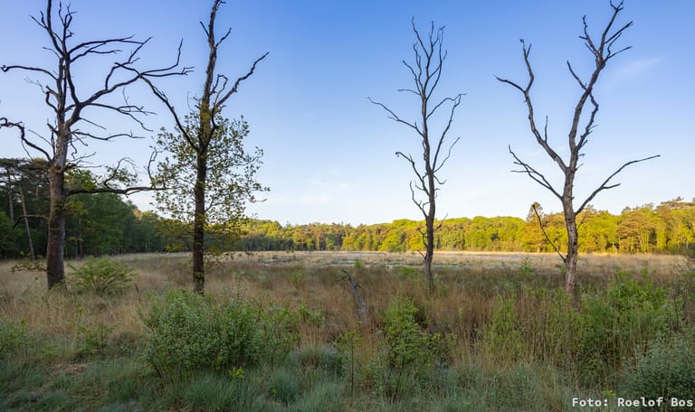 Natuurwerkdag Friesland
