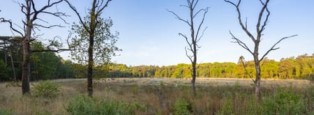 Natuurwerkdag Friesland