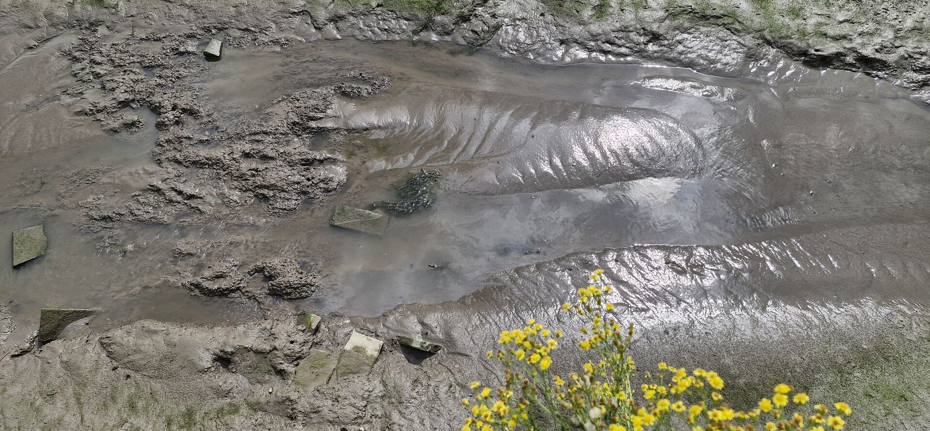 Droogte Droogte