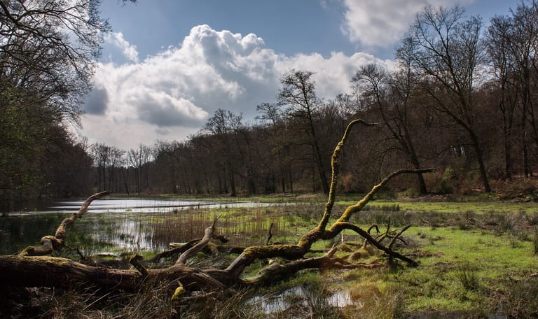 Noord veluwe