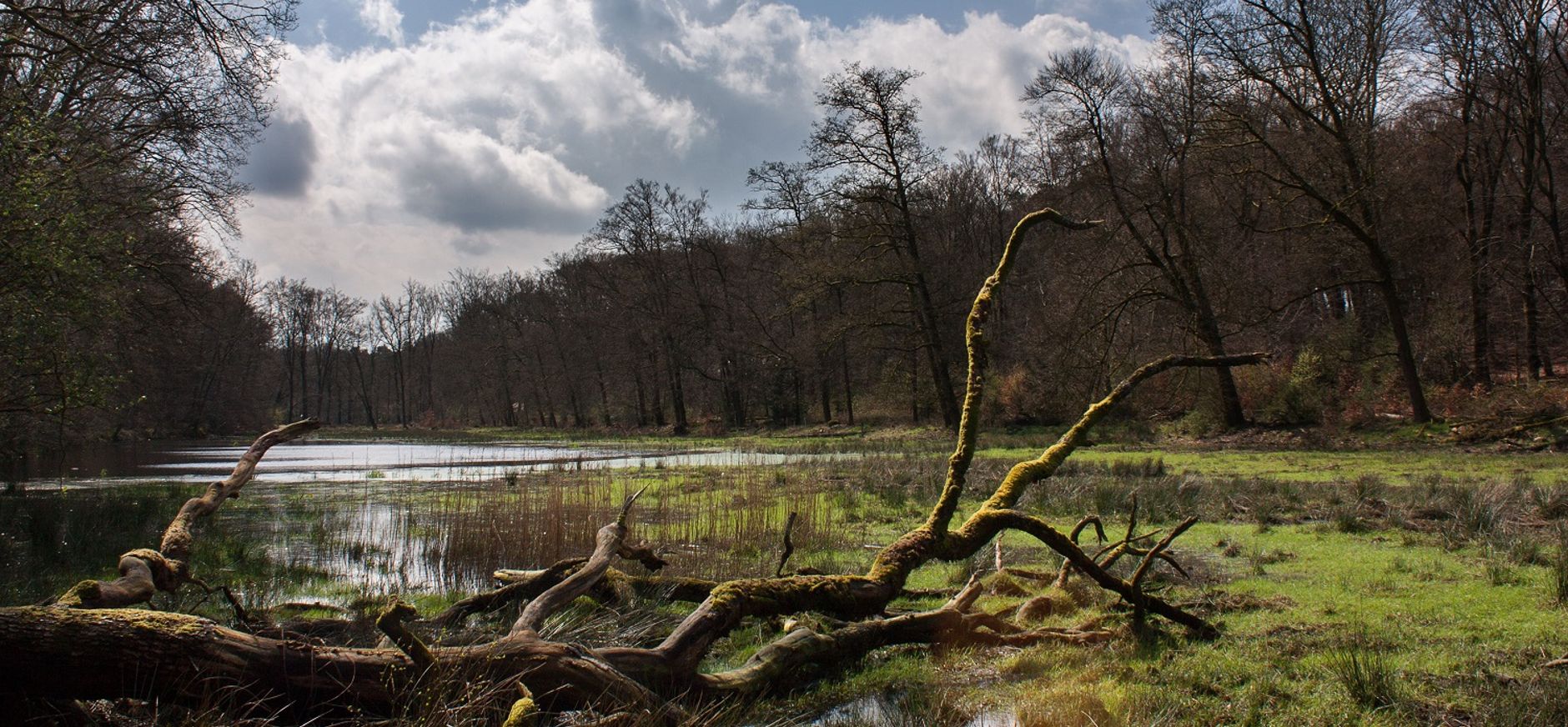 Noord veluwe