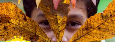 Herfstfeest