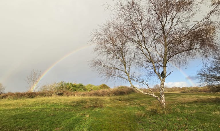 Duinvallei Oostdijk
