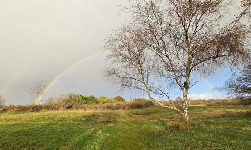Duinvallei Oostdijk
