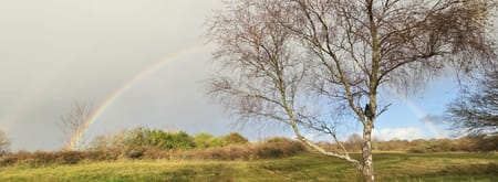 Duinvallei Oostdijk