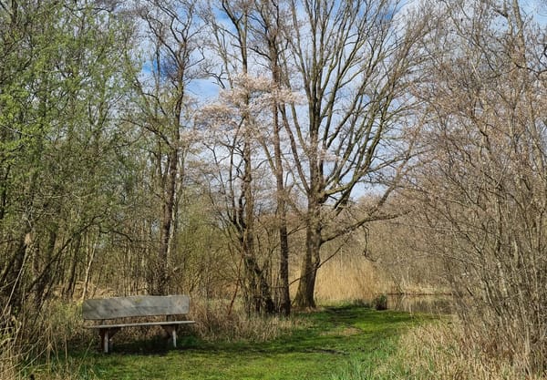 Het Oppad met herdenkingsbankje