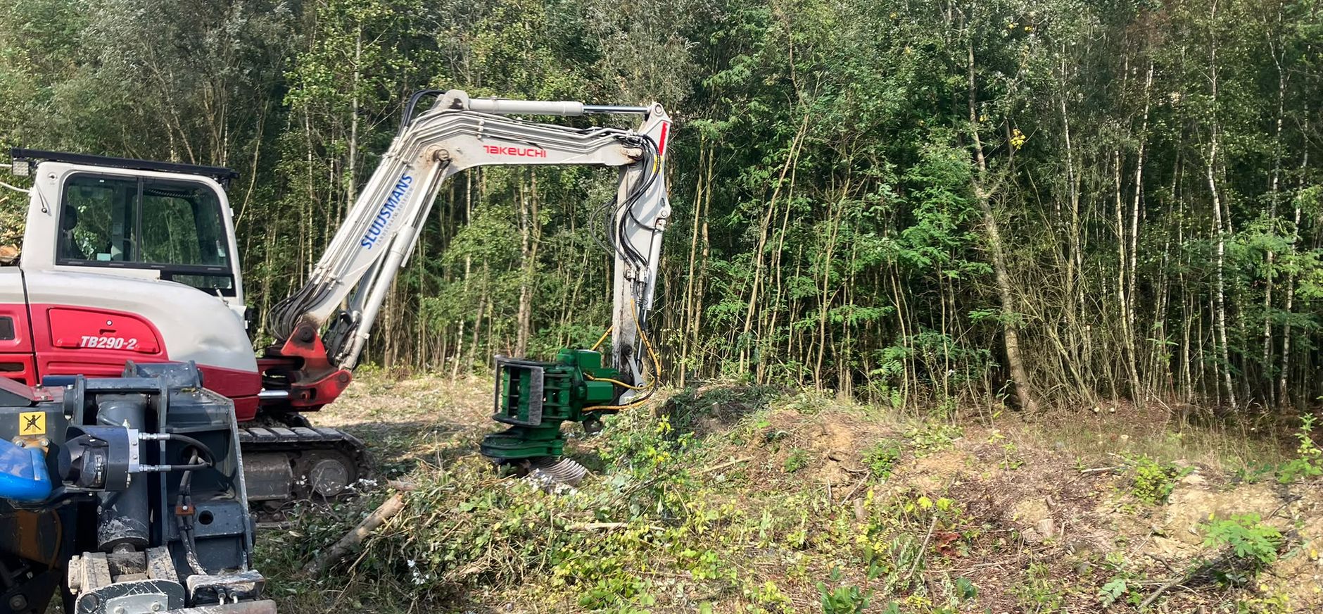 bosrandbeheer in de groeve bosrandbeheer in de groeve