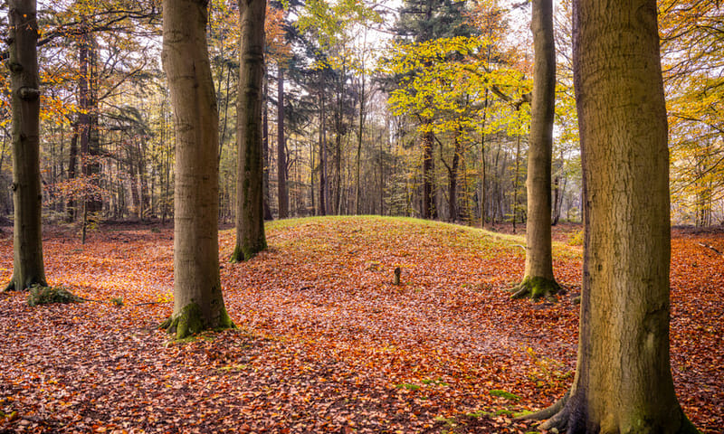 Herfst