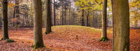 Herfst