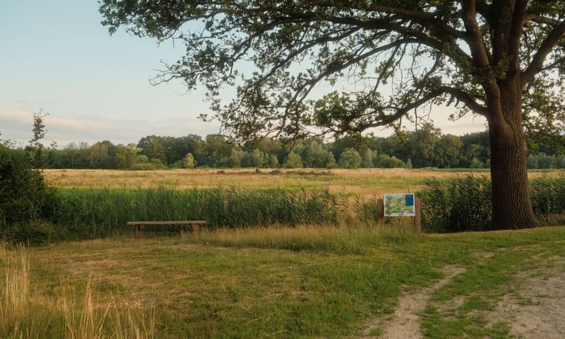 Eerder Hooilanden