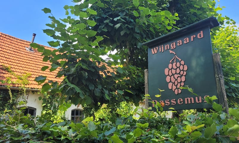 Wijngaard Dassemus