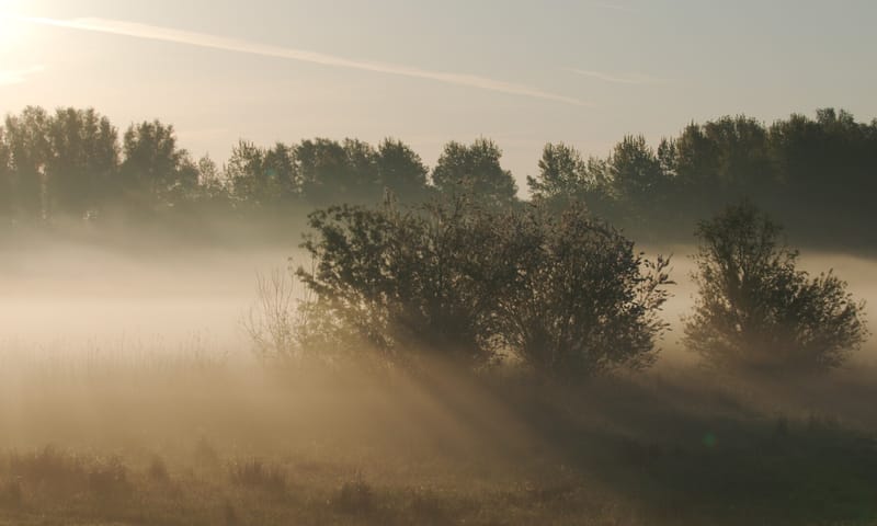 Film grensgebied