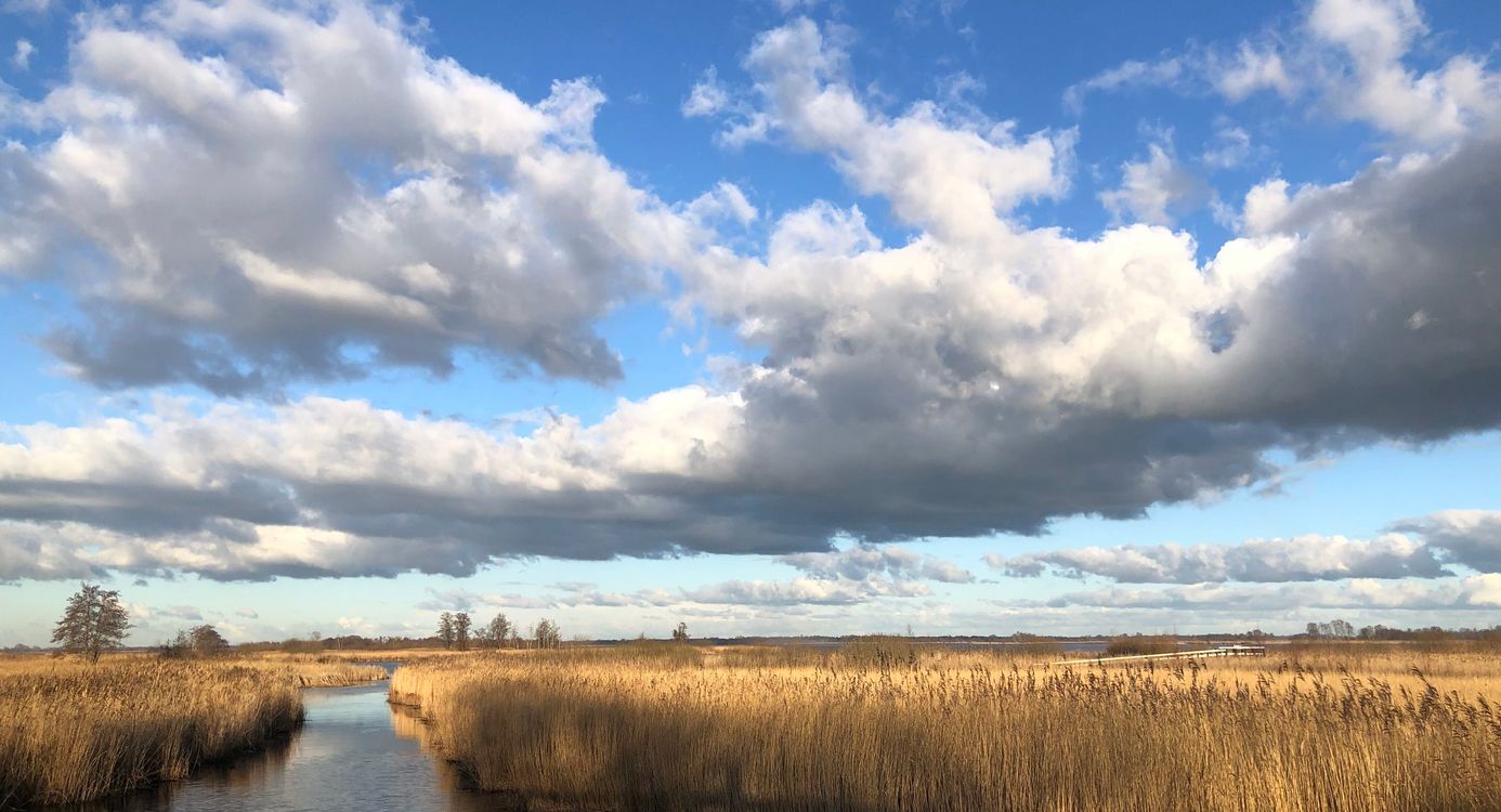 De Wieden