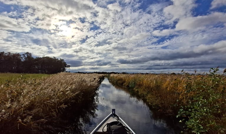 Herfst in De Wieden