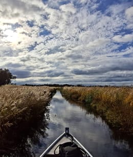 Herfst in De Wieden