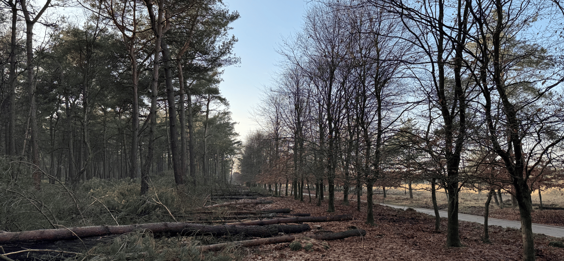 Brandpreventie Brandpreventie