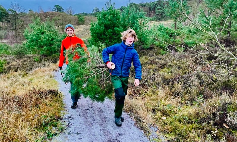 Gezaagde kerstden van de Brunssummerheide meenemen