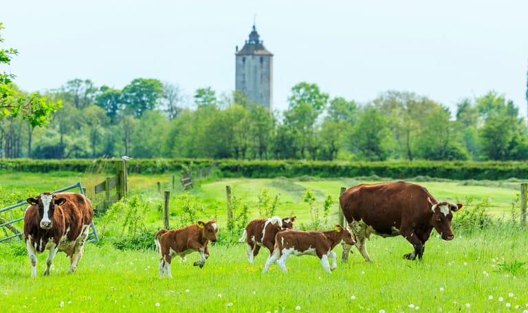 Landschap Haarzuilens
