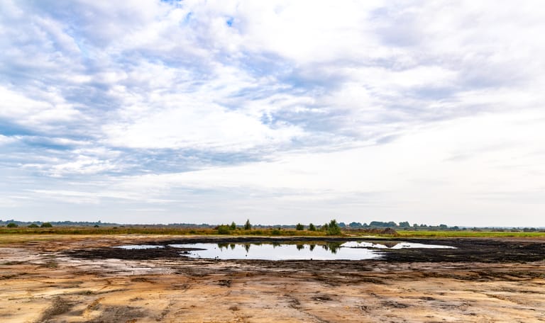 Plaggen Fochteloërveld 1