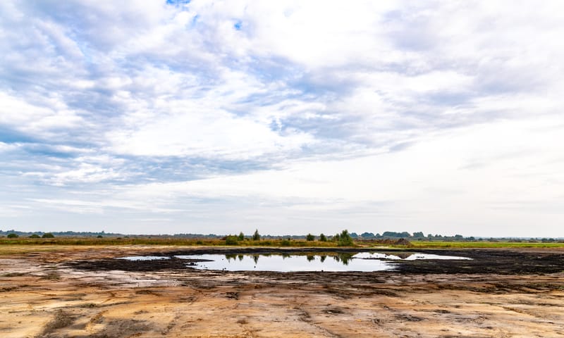 Plaggen Fochteloërveld 1