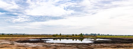 Plaggen Fochteloërveld 1