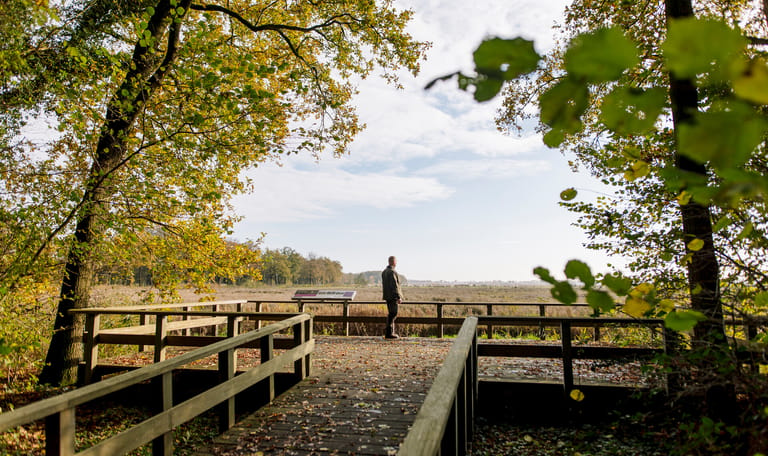 Smeerling herfst