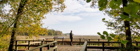 Smeerling herfst