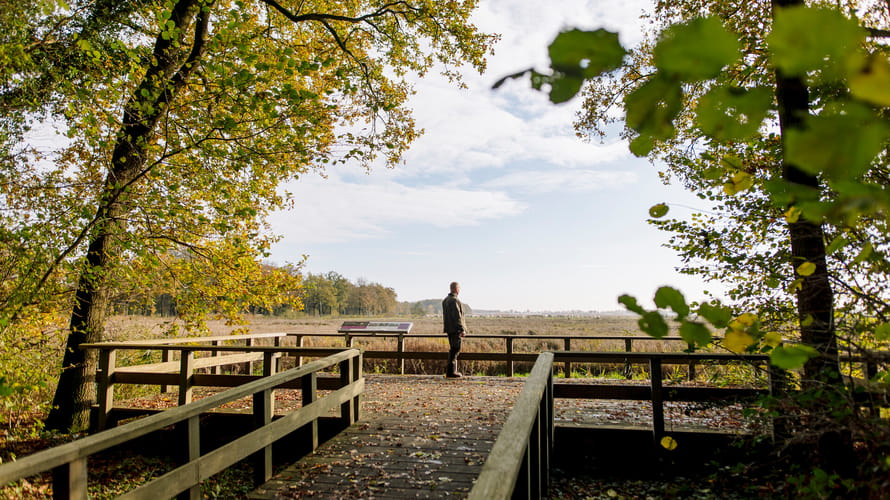 Smeerling herfst