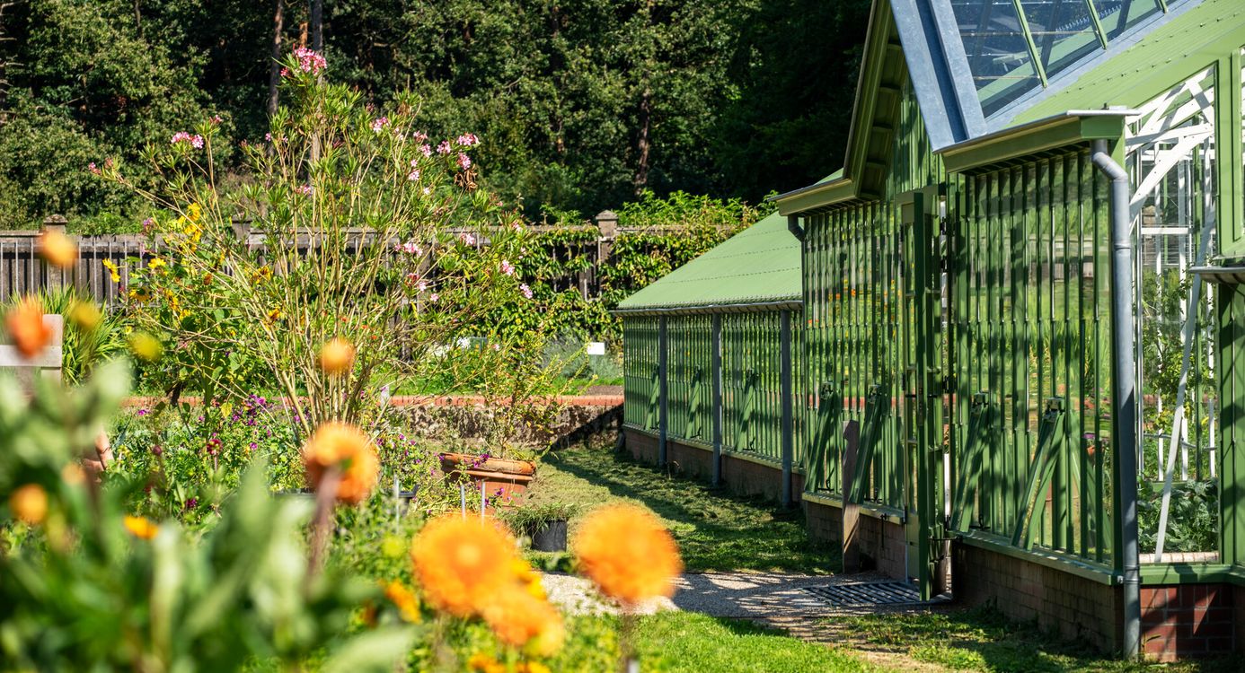 Tuin met kas Landgoed Mookerheide Tuin met kas Landgoed Mookerheide