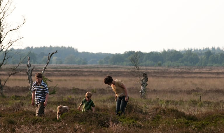 Natuurwerkdag Holtingerveld Holtingerveld
