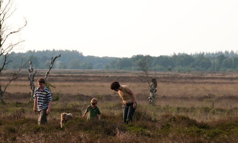 Holtingerveld