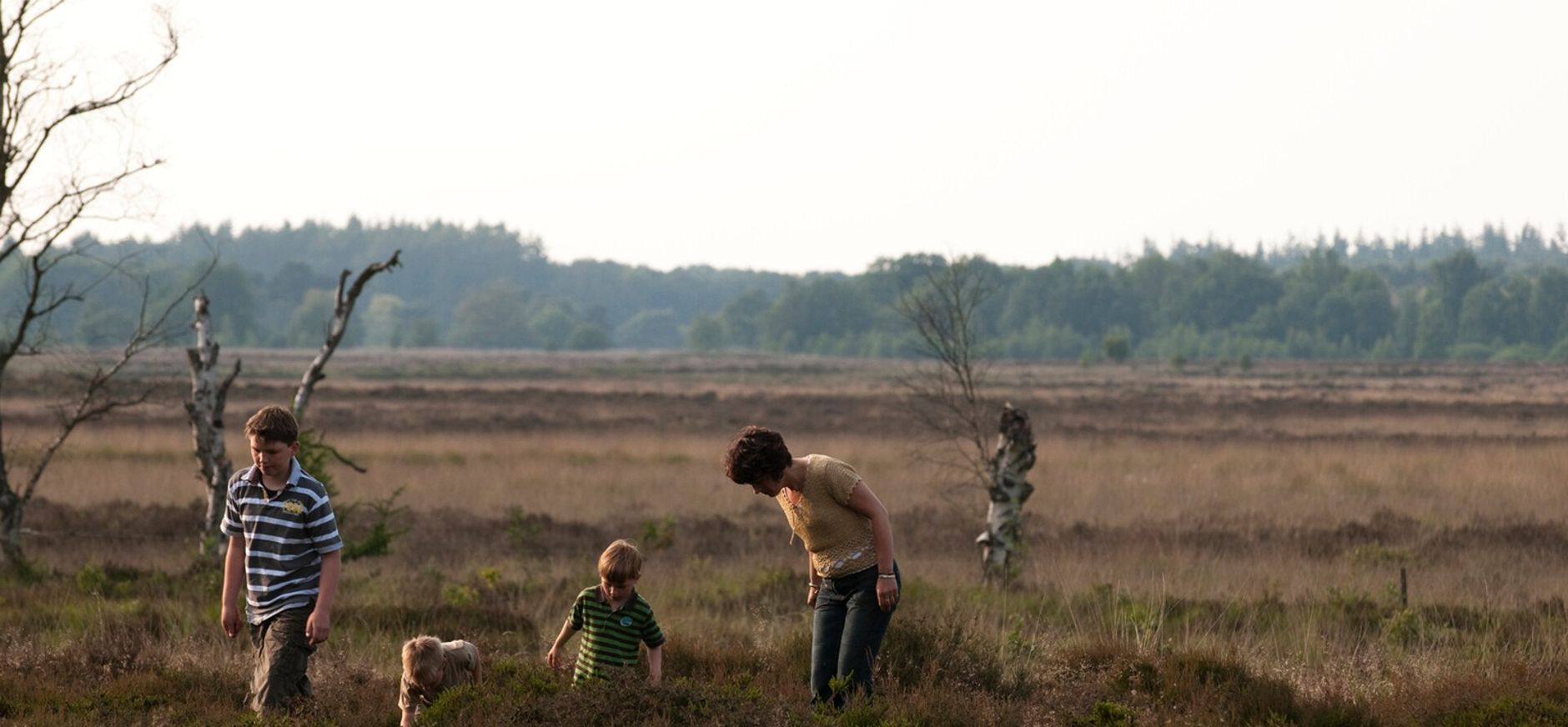 Natuurwerkdag Holtingerveld Holtingerveld