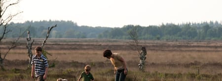 Holtingerveld