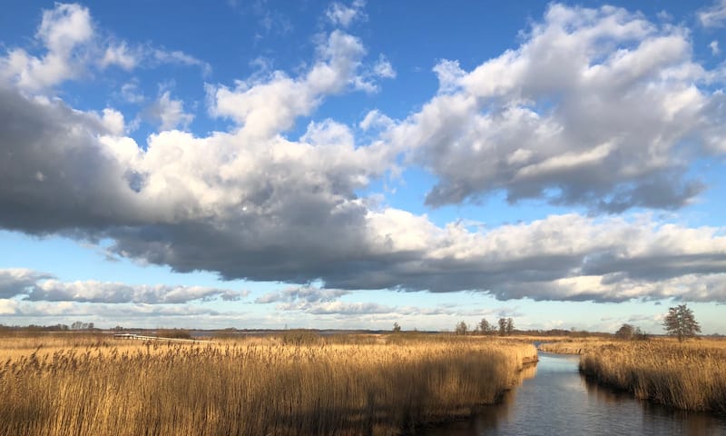 De Wieden