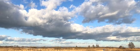 De Wieden