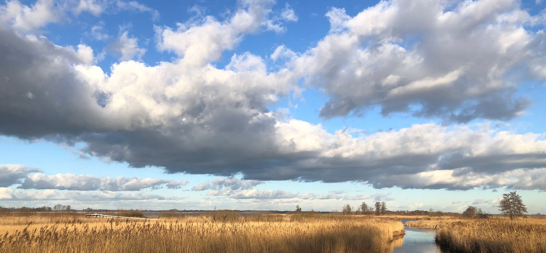 november