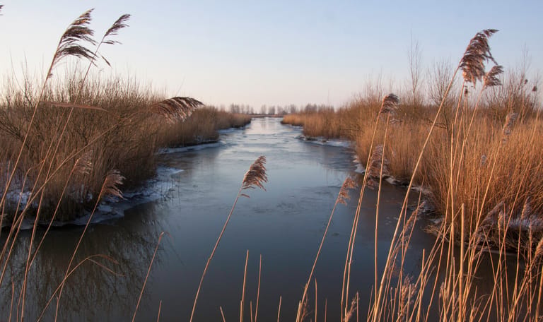 winter tiengemeten winter tiengemeten