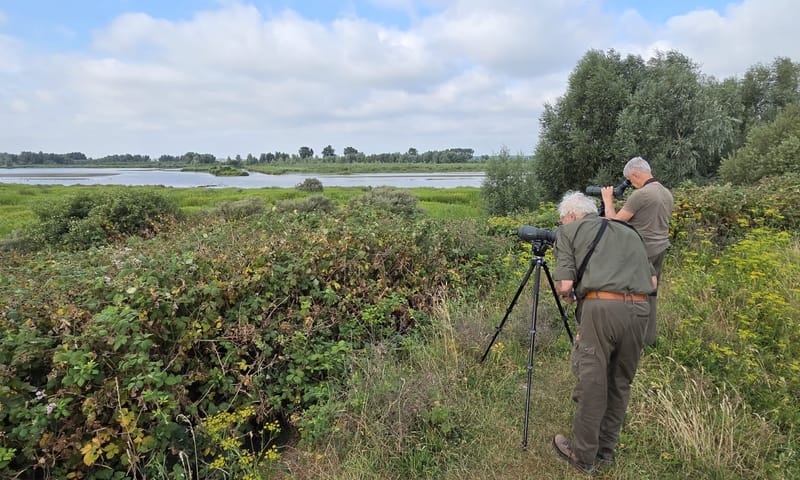 Tellen op de Vliedberg Tellen op de Vliedberg