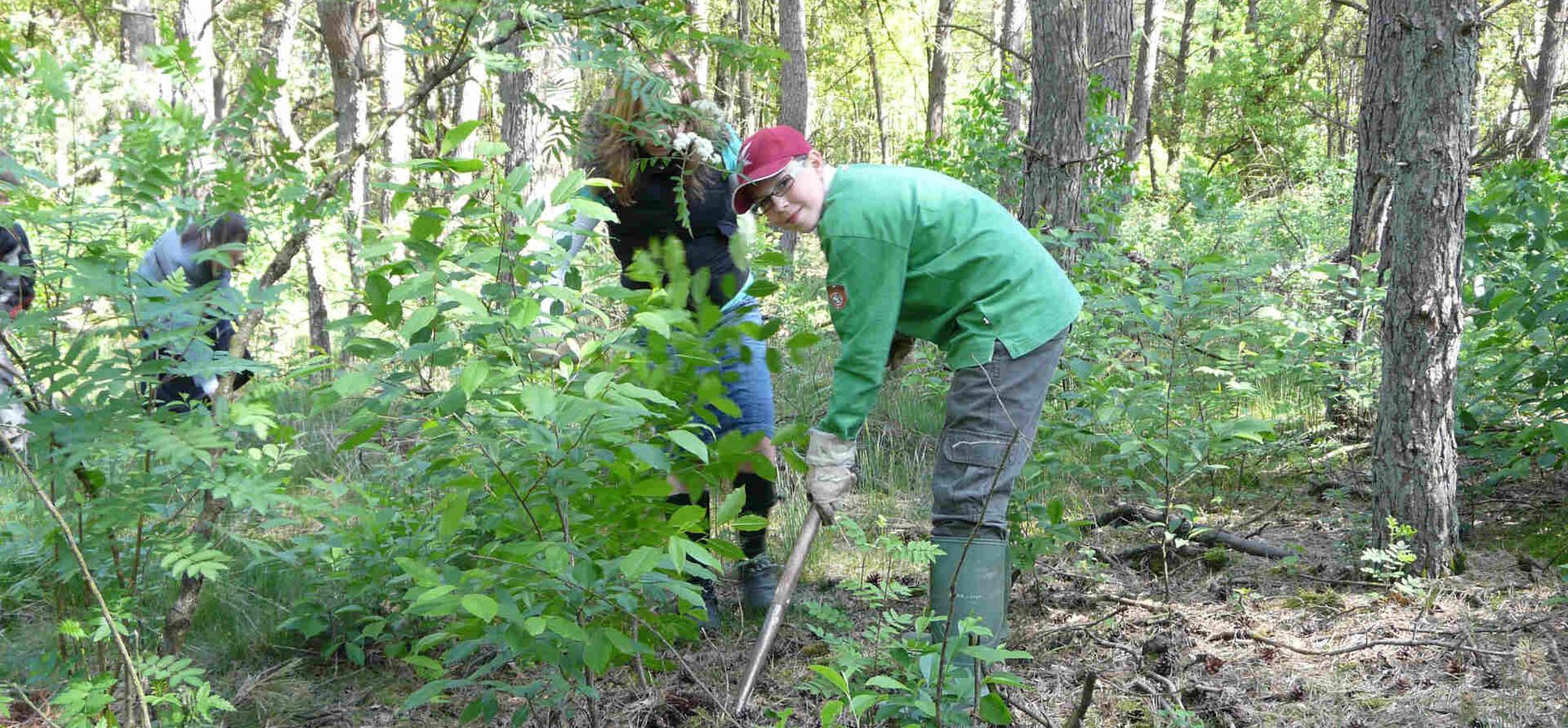 Werken in het bos werken in het bos
