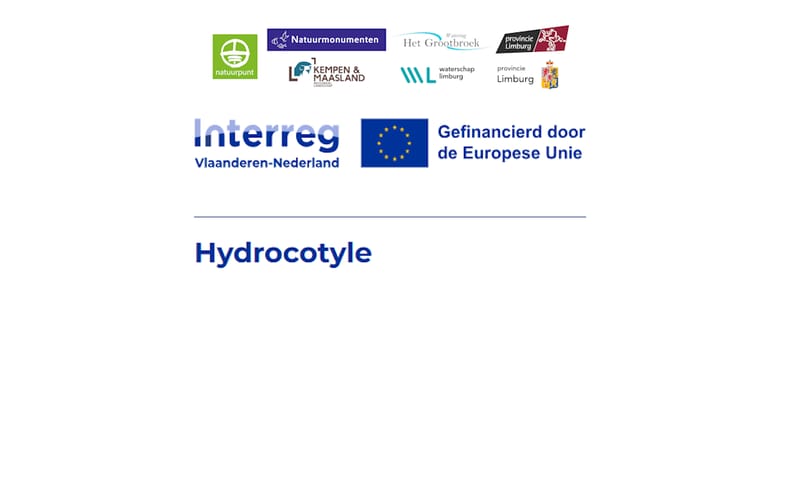Logo's partners