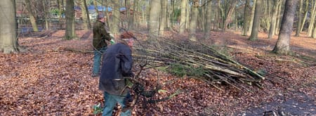 Slepen met takken