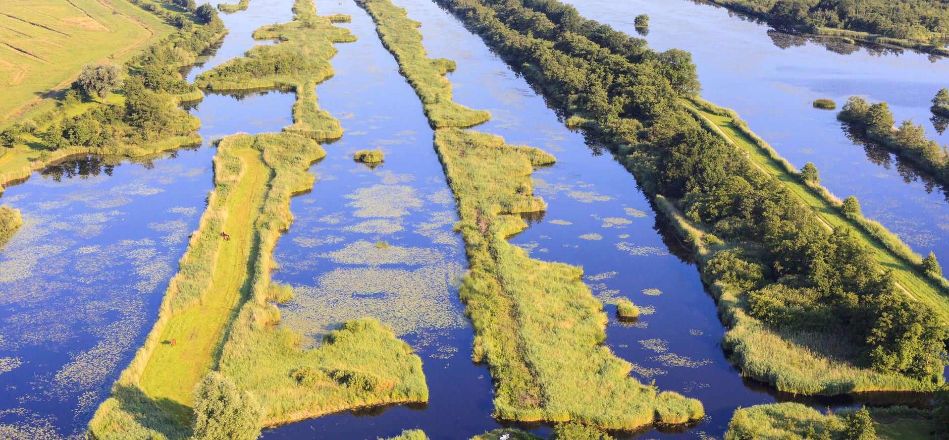Vechtplassen Vechtplassen