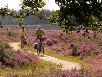 Fietsroute Oisterwijkse Bossen en Kampina
