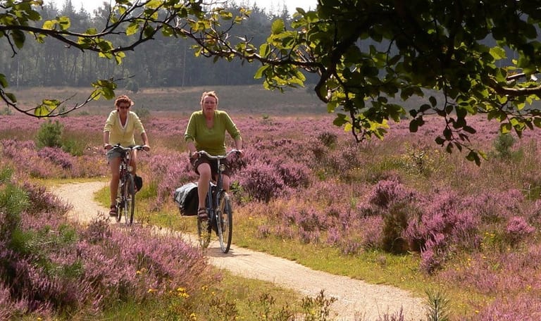 Fietsroute Oisterwijkse Bossen en Kampina