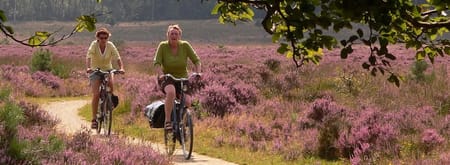 Fietsroute Oisterwijkse Bossen en Kampina