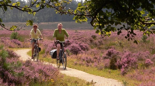 Fietsroute Oisterwijkse Bossen en Kampina
