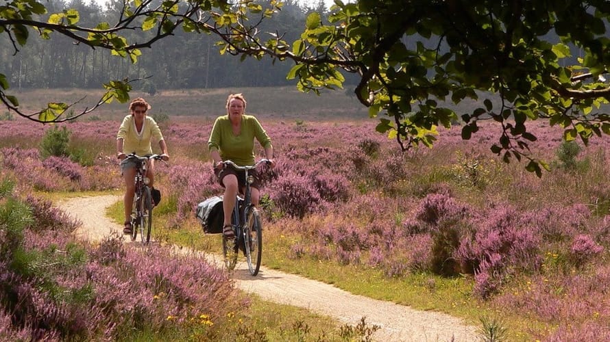 Fietsroute Oisterwijkse Bossen en Kampina