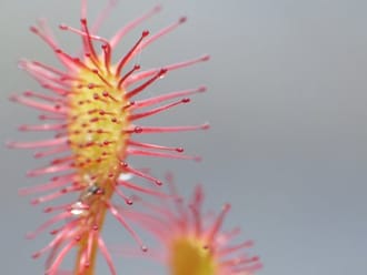 Panoramapad, vlak bij Bergeijk