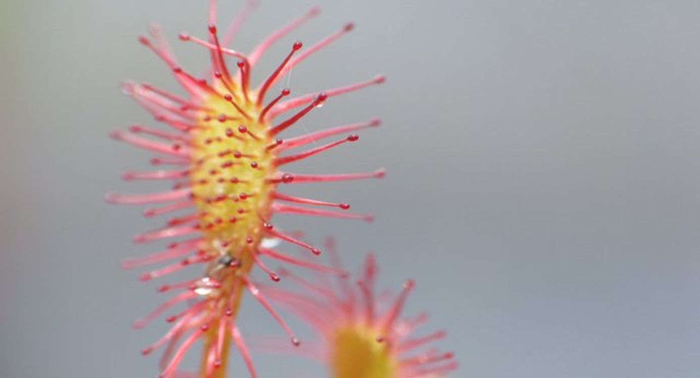 Panoramapad, vlak bij Bergeijk