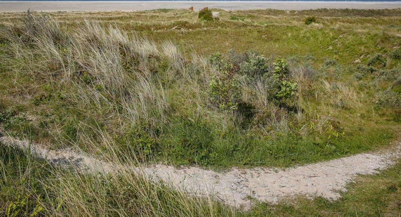 Trailrun Schiermonnikoog (Friesland)